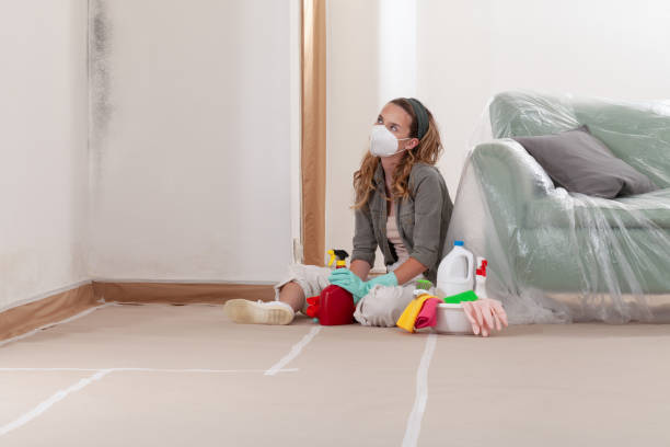 Reliable Black Mold Removal contractor in Glenmoore, PA by WQB Mold Removal